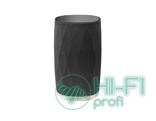 Бездротова колонка Bowers & Wilkins Formation Flex